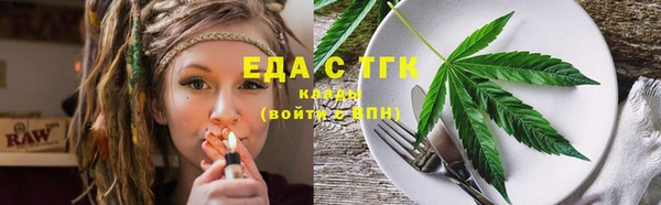 мдпв Елабуга